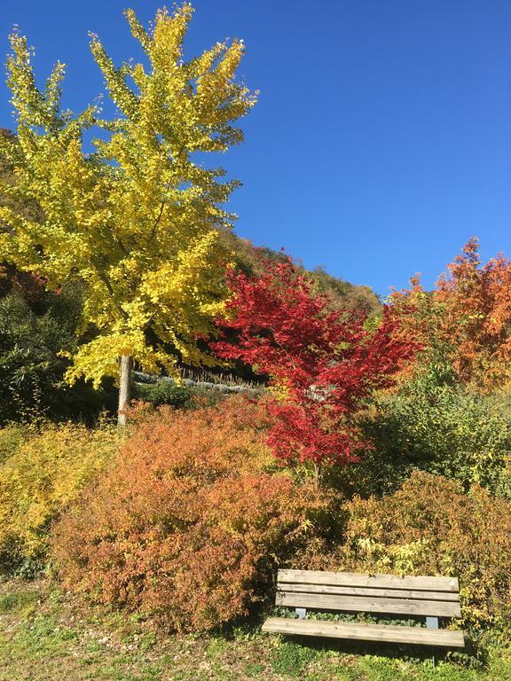 卡萨布鲁内利住宿加早餐旅馆 特伦托 外观 照片